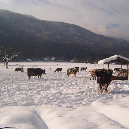 Farmhouse Soklic Bohinj Eksteriør bilde