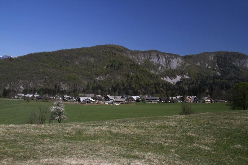 Farmhouse Soklic Bohinj Eksteriør bilde